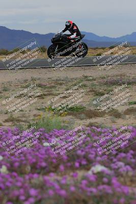 media/Jan-14-2023-SoCal Trackdays (Sat) [[497694156f]]/Turn 14 Exit Bloomig (145pm)/